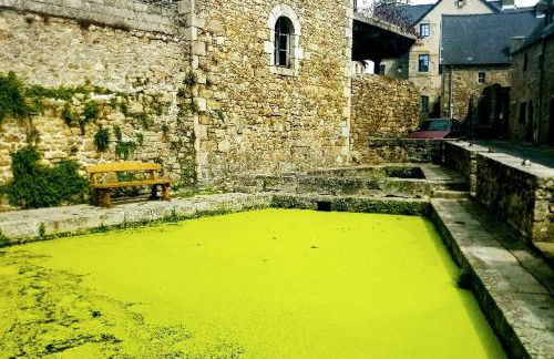 Duplex au lin - Foto 29