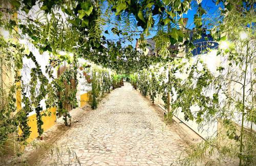 ESTÚDIO 81 junto à Sinagoga - Foto 76