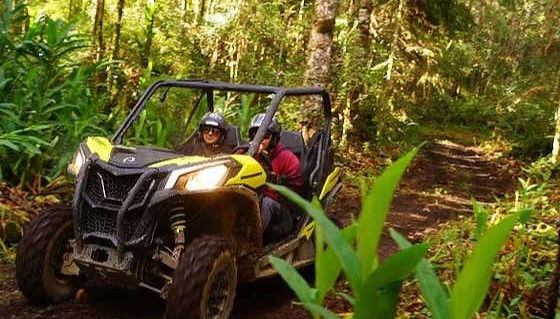 Découvrez la forêt tropicale de Monte Verde