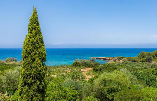 Finca Ses Figueres - Foto 39