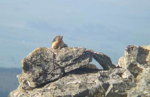 La Grange de la Gratade - Foto 35