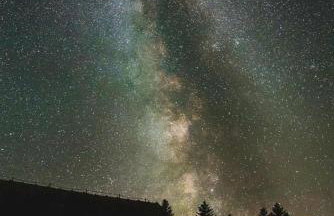 AGROTURYSTYKA DOR-Ali u Ali - Foto 3