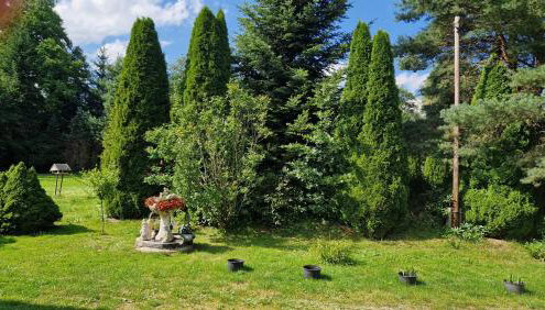 Agroturystyka Nad Cichą - Foto 3