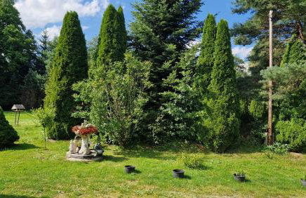 Agroturystyka Nad Cichą - Foto 3