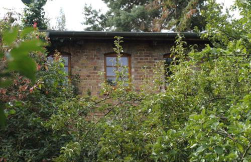 Natur erleben und Ruhe genießen - Foto 20