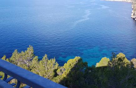 Villa Jagoda - Foto 5