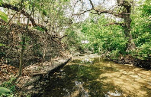 Walk to UT Moody Center, 2025 Traveler Award Winner, Magic Tree House - Foto 25