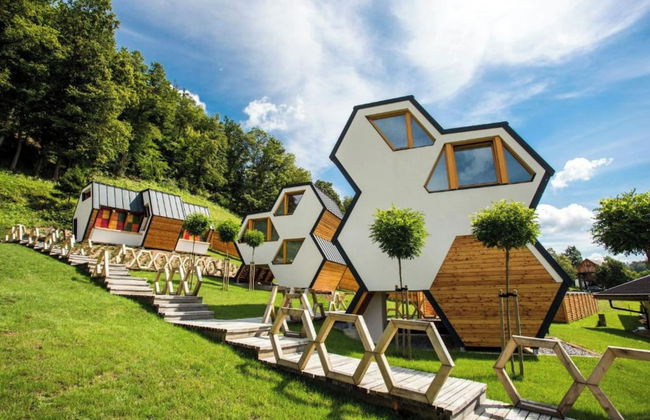 Bee House Flip - Foto 1