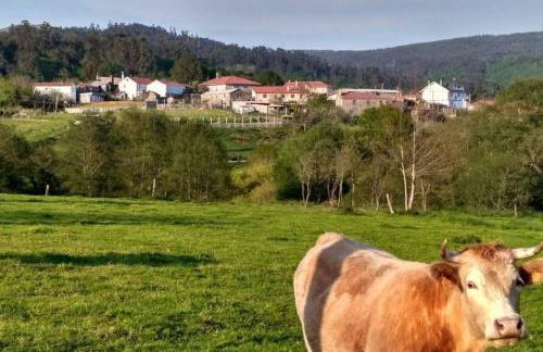 Casa da Labaceira - Foto 41