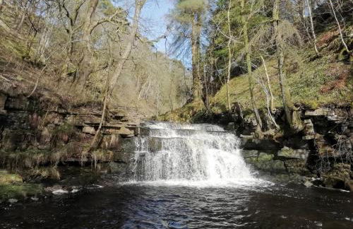 Bonny Bits Cottage - Foto 44