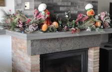 Cactus house - Foto 24