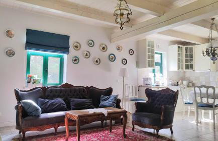 Willa Gruszki Puszcza Białowieska - Photo 26