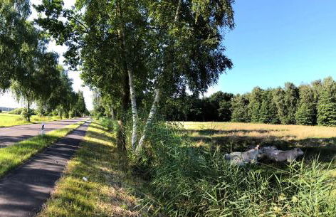 Ferienwohnung "elbRetreat" in Seevetal-Over an der Elbe - Stilvoll wohnen auf Zeit - Foto 43