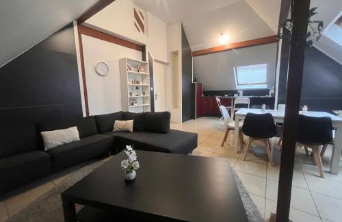 Appartement 70m2 Illkirch centre - Foto 1