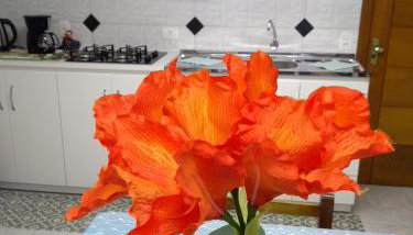 Casa e Flat Conforto Gramado - Photo 5, minibar