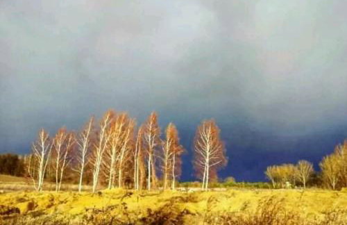 Agroturystyka Zaborski Sad - Foto 44