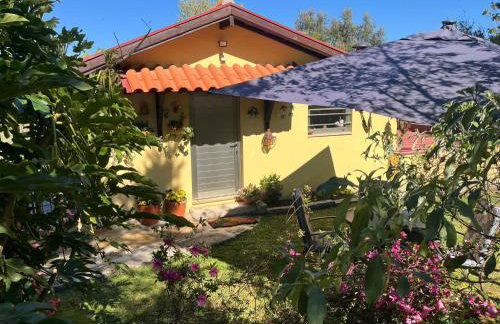 Quinta de Carcavelos Agroturismo e Enoturismo - Foto 7