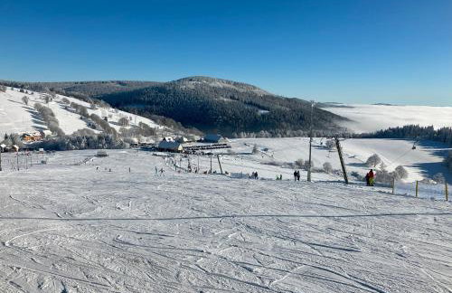 Brzozowa Osada - Foto 61