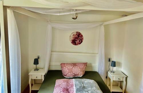 Dornröschen - Foto 2