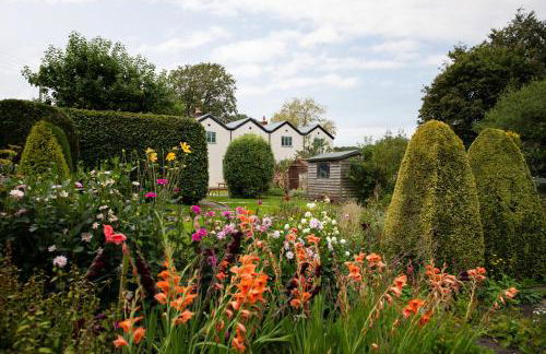 Woodcutter's Cottage - Photo 28