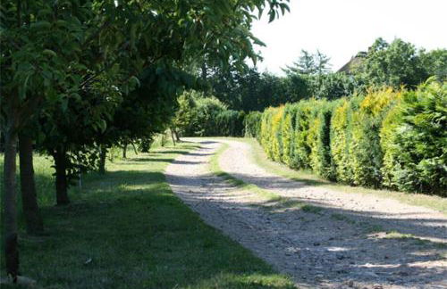 Landhaus Vilmblick - Foto 6