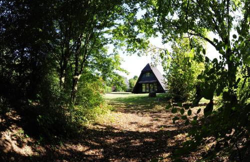 Bungalow in Waldbrunn - Foto 49