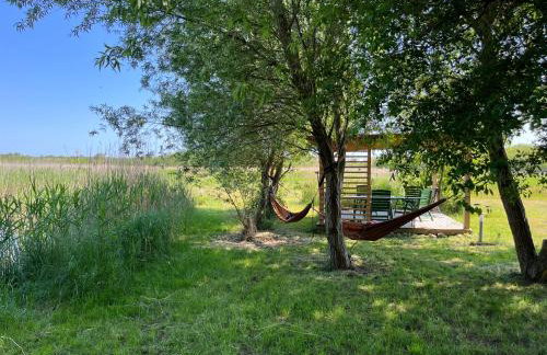 Liwia Park - Foto 46