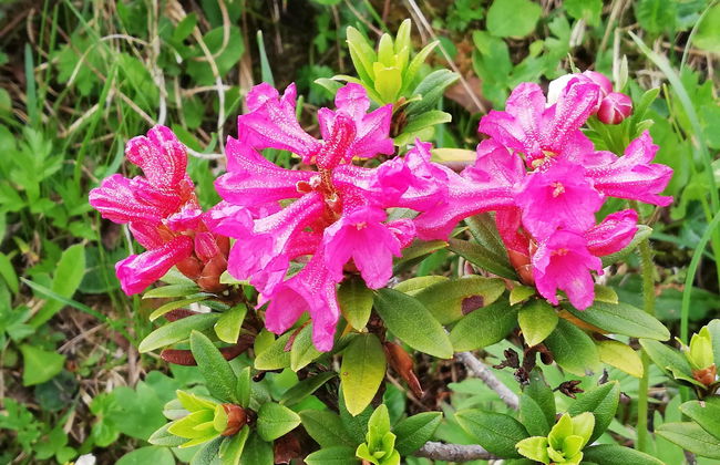 Kari's Schüür - Foto 8