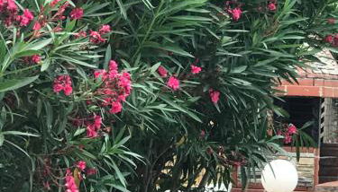 Maria Rooms Vrasna - Foto 3