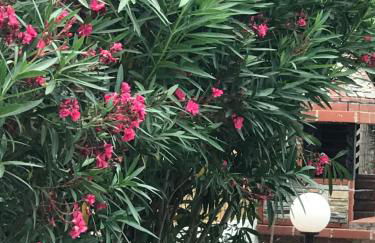 Maria Rooms Vrasna - Foto 3