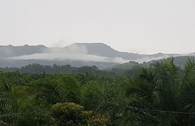 Magic Mountain Lodge - Foto 14