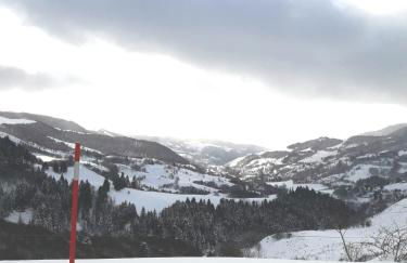 maison cosy proche de la station de ski du lioran 4 personnes - Photo 4