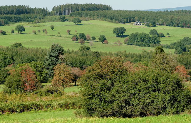 Farmhouse Situated at the Edge of the Woods - Photo 32