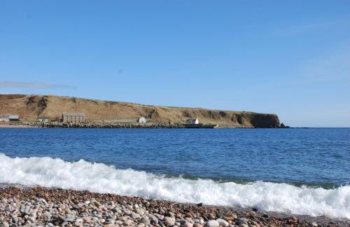 Faodail 'a lucky find' - Foto 41