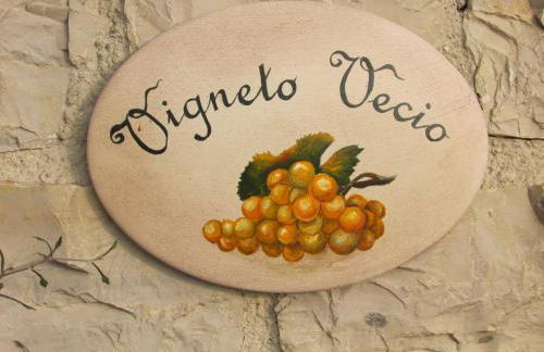Agriturismo Vigneto Vecio - Foto 16