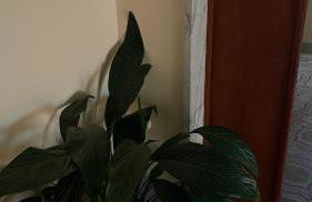 "VELIAS-HOUSE" appartamenti fiorello - Foto 50