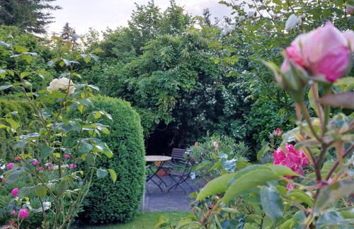 FeWo Dreiseitenblick - Foto 28