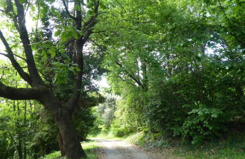 Casa Ballo delle Streghe, Garden, Montebelluna - Foto 32