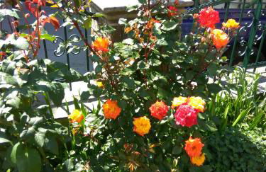 Guesthouse Papagiannopoulou - Foto 21