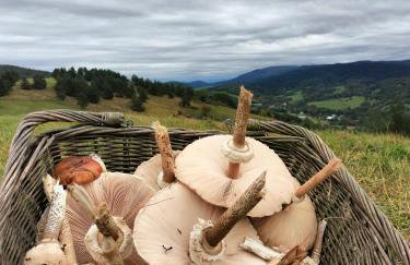 Agroturystyka U Anny - Foto 19