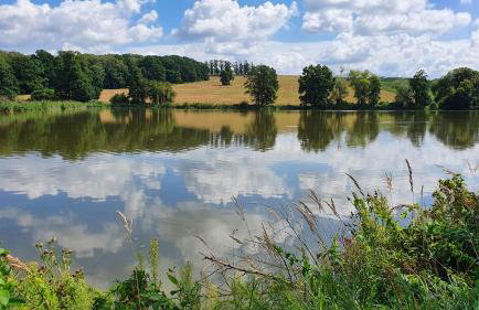 Nasz Dębowiec - dom dla 15 osób, sauna, widok na staw, wielka działka - Photo 63