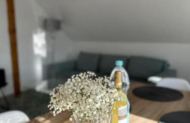 Klimatyczny apartament nr 8 z widokiem na góry Sowie - Foto 20