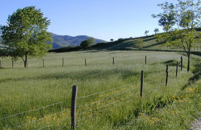 Farmhouse in Borgo Antico - Foto 23