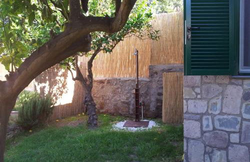 Tessa's Holiday - Photo 22