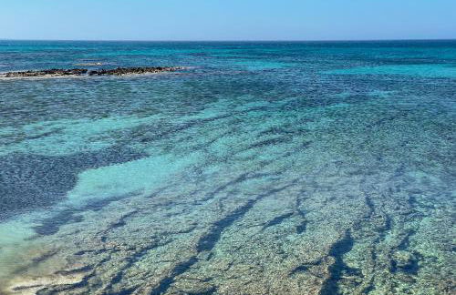 Masseria Bosco Mazza - Foto 49