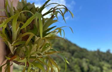 The Green Valley House II - Foto 43