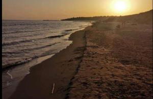 Villa Vannì - Foto 33