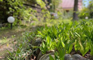 Kaszubski Zakątek Niesiołowice - Foto 7