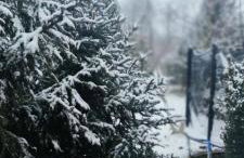 Żurawisko - Domki wśród natury - Foto 61