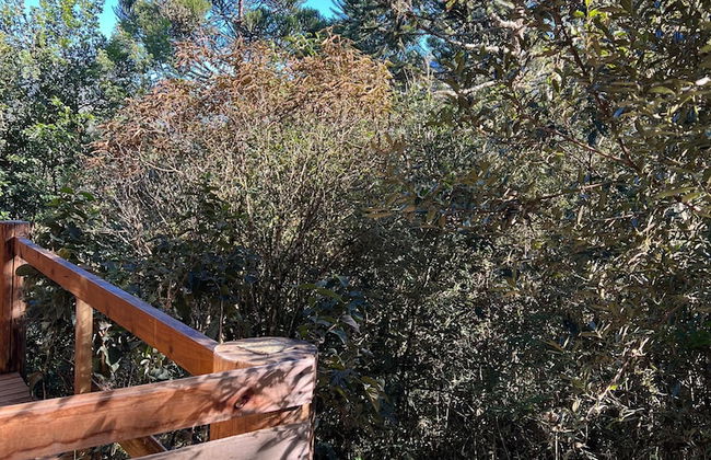 YAAHOO ECOLODGE - Foto 64